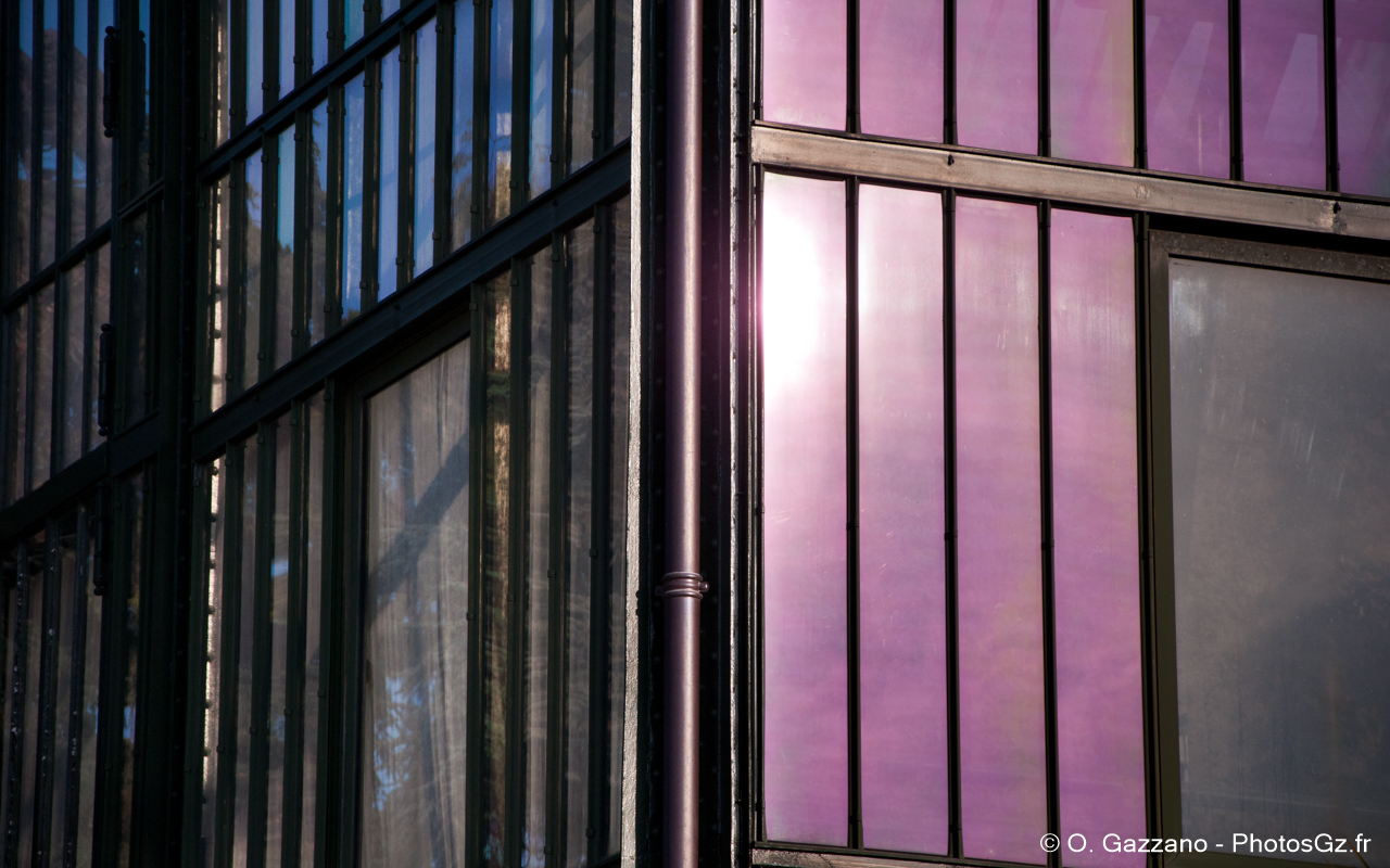Serres du Jardin des plantes / Paris