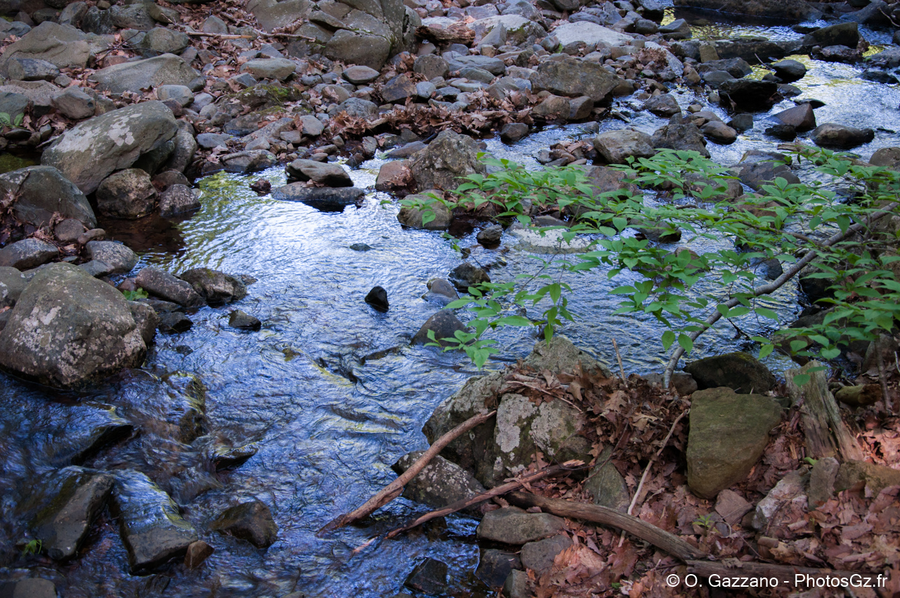 Rivière du parc Naturel Shenandoah (VA, Etats Unis)