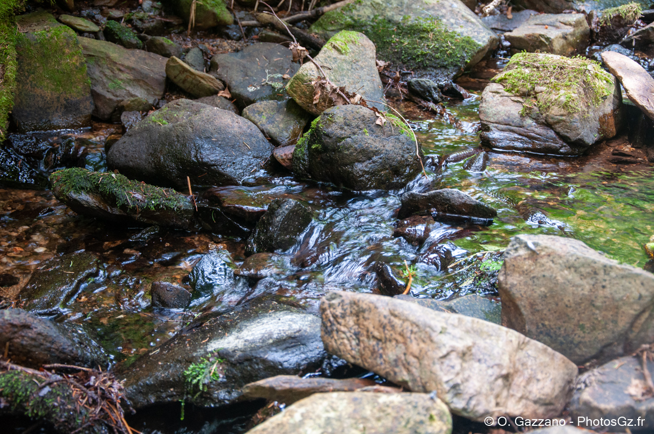 La Loire en Ardèche