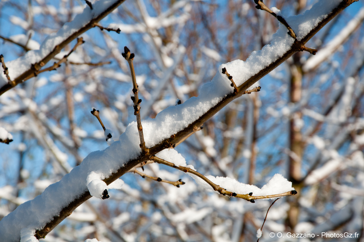 Neige à Marcoussis