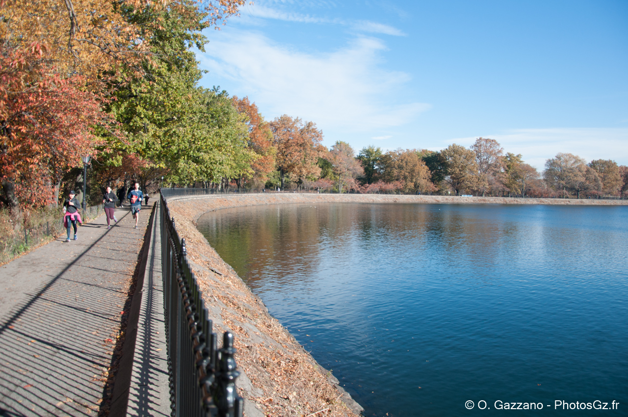 Central Park en Automne - New York City