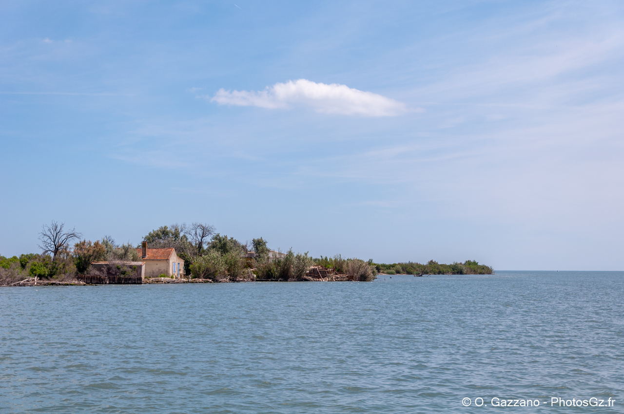Cabanons de Camargue
