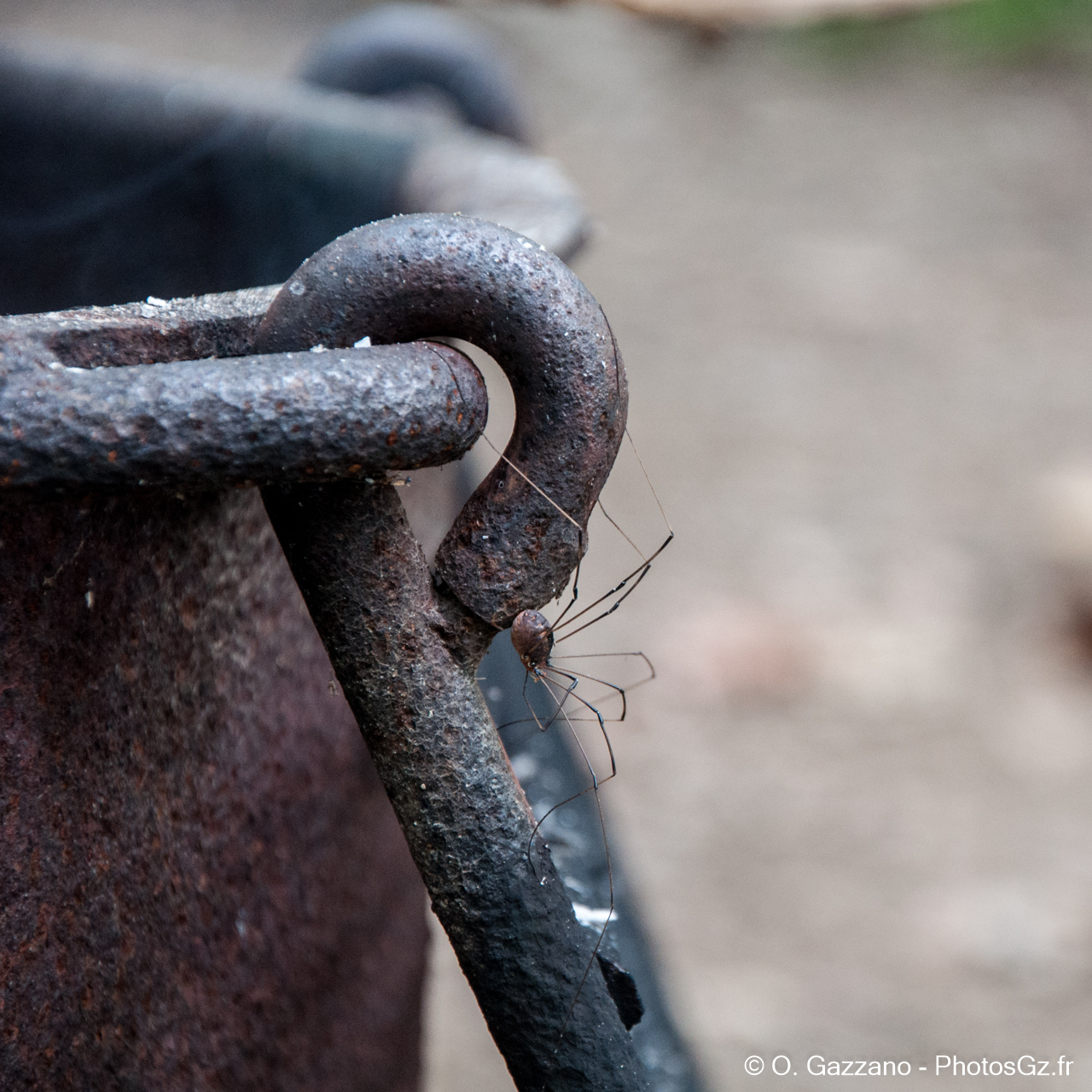 Au feu ! (dans le chaudron)