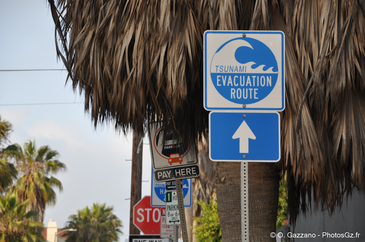 Attention Tsunami / Los Angeles