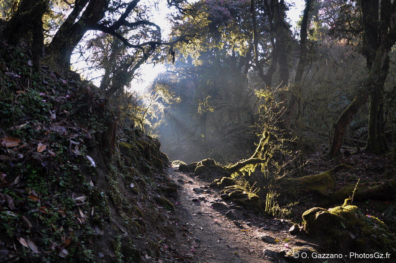 Facade d’un immeuble.d.Rouen, France - 9 juin 2019